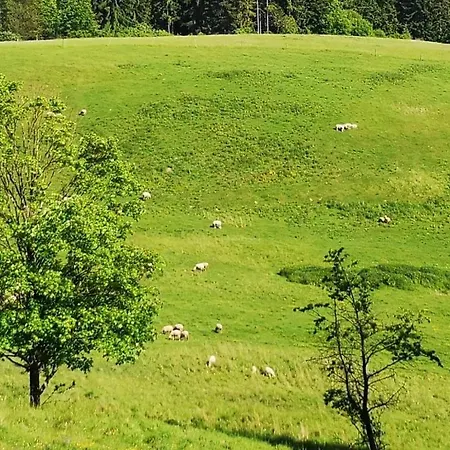 شاليه Panorama