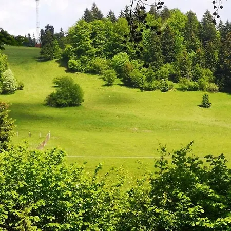 Panorama شاليه