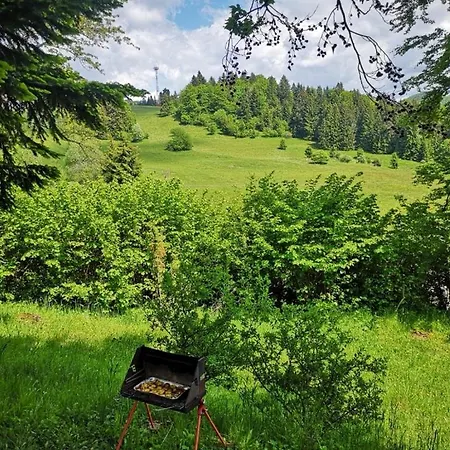 شاليه Panorama *