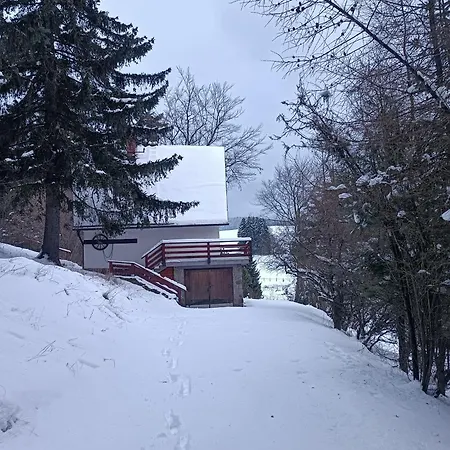 Panorama *