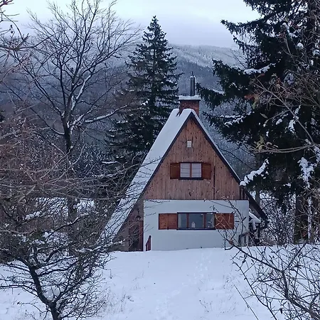Panorama *